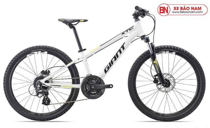 Xe Giant 2020 Cate 24 D1 màu trắng