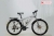 Xe Đạp Fascino FS226 Màu Đỏ Mận